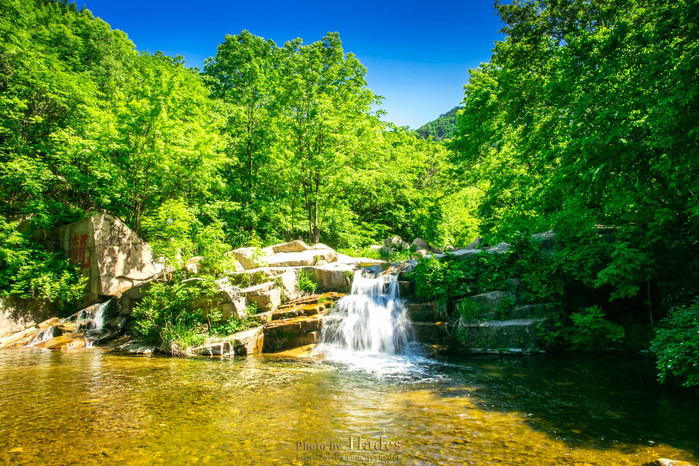 孔雪儿发文回应鱼子酱事件：希望大家向前看